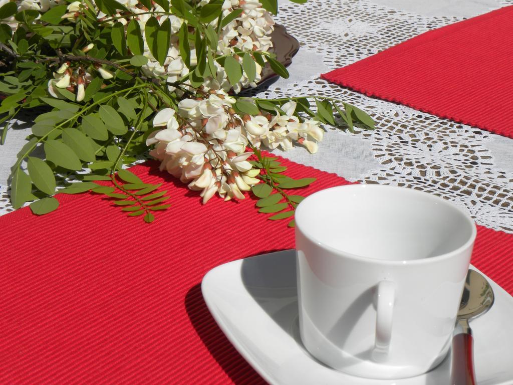 El Jardin De Los Gatos Apartament Касерес Экстерьер фото