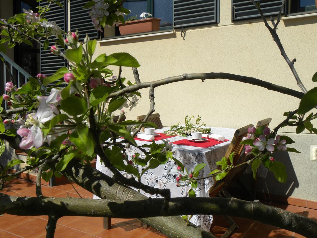 El Jardin De Los Gatos Apartament Касерес Экстерьер фото
