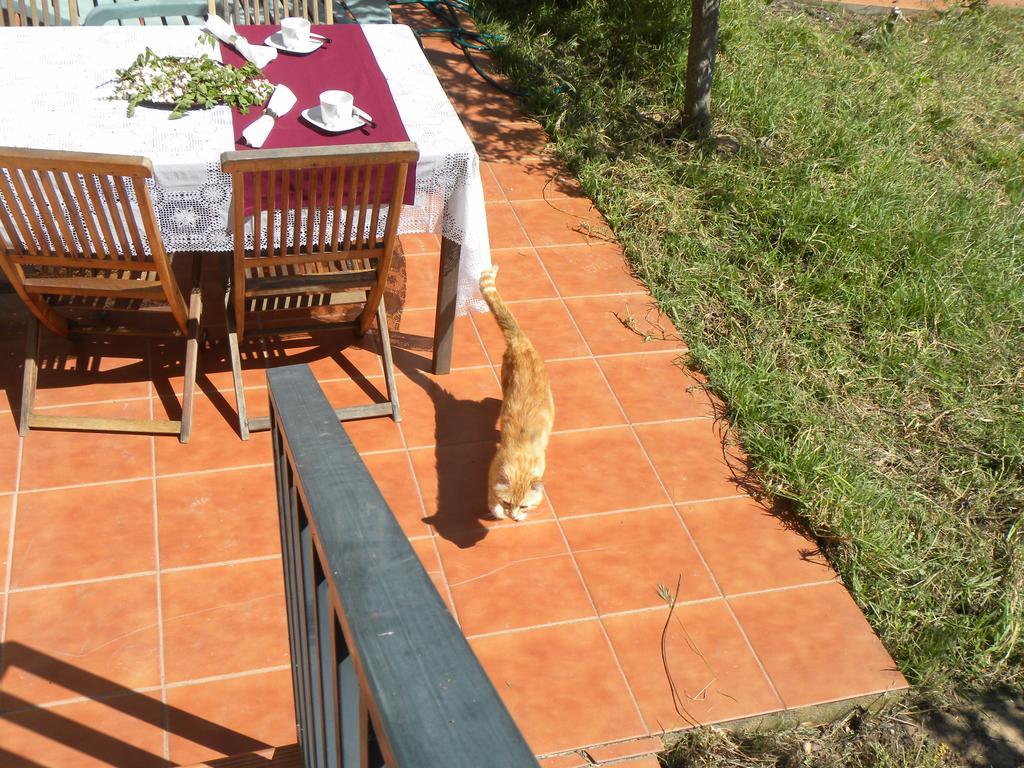 El Jardin De Los Gatos Apartament Касерес Экстерьер фото